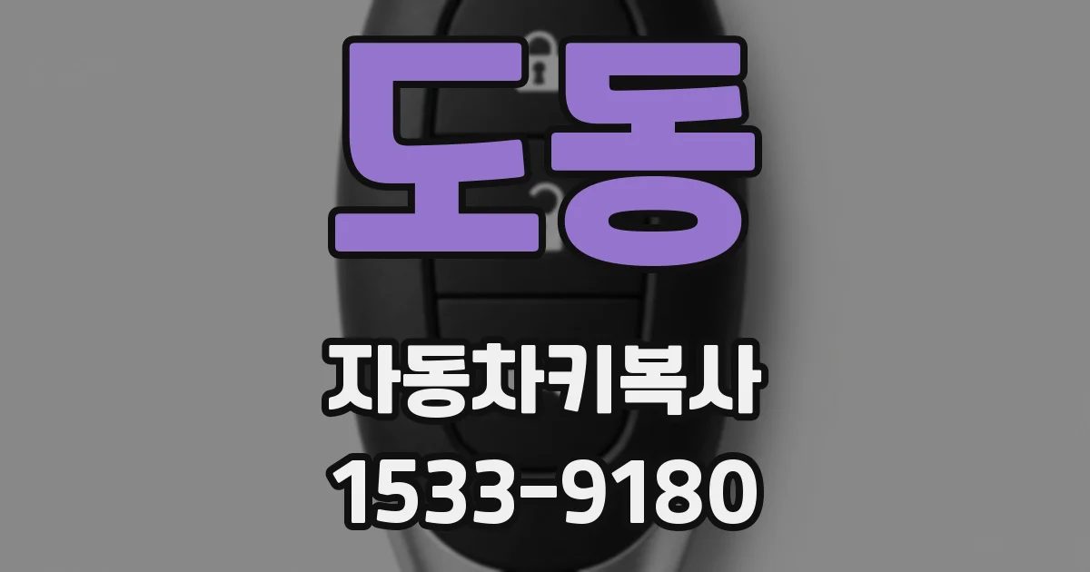 도동 자동차키복사