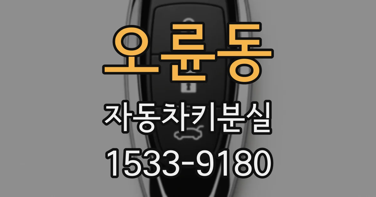 오륜동 자동차키분실