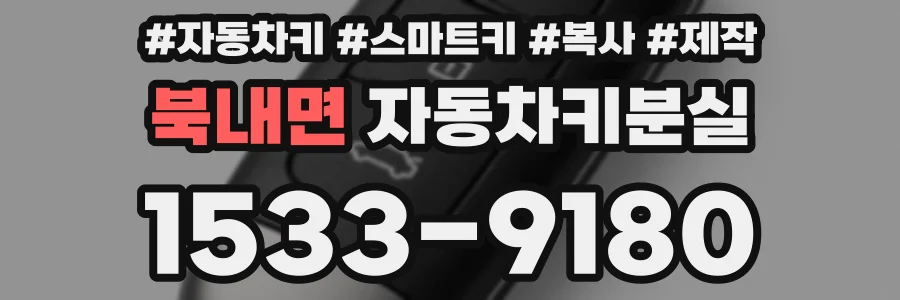 북내면 자동차키분실