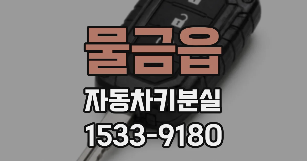 물금읍 자동차키분실