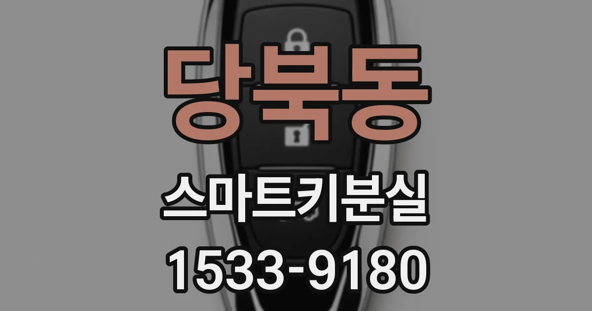 당북동 스마트키분실