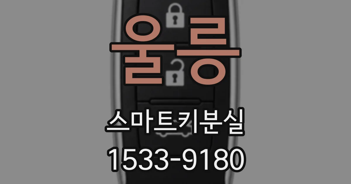 울릉 스마트키분실