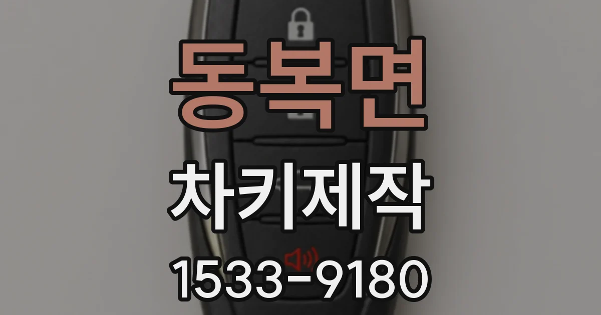 동복면 차키제작