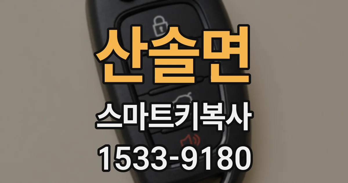 산솔면 스마트키복사