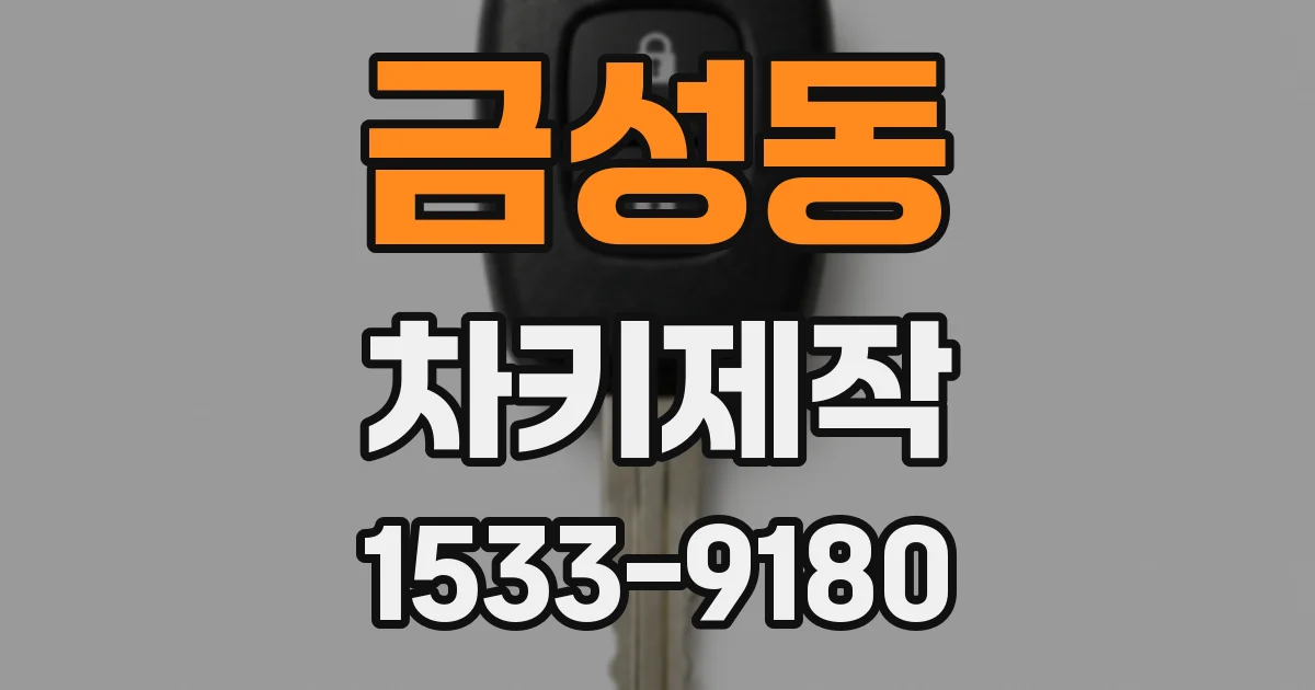 금성동 차키제작