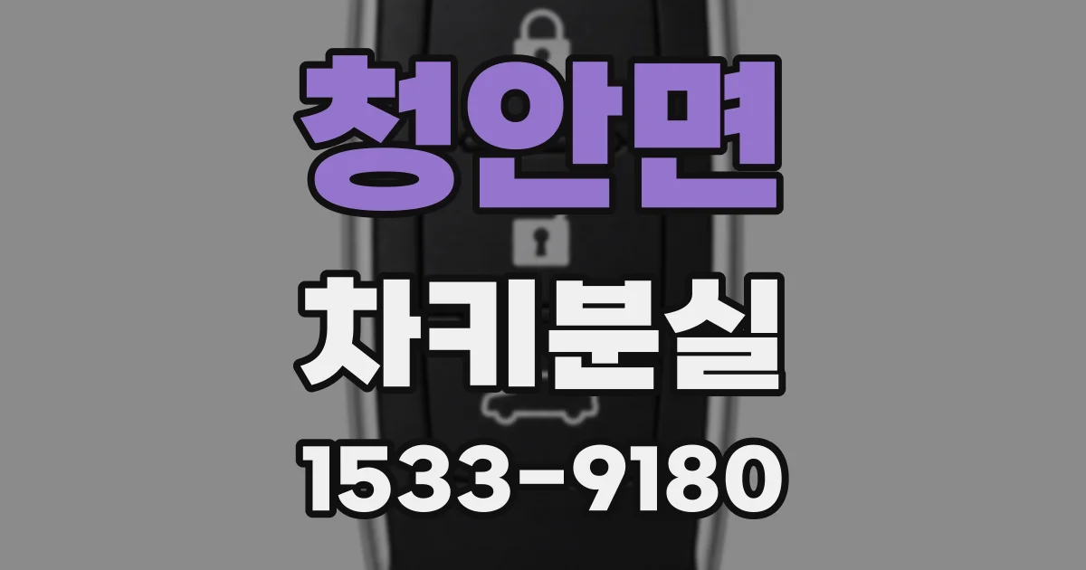 청안면 차키분실