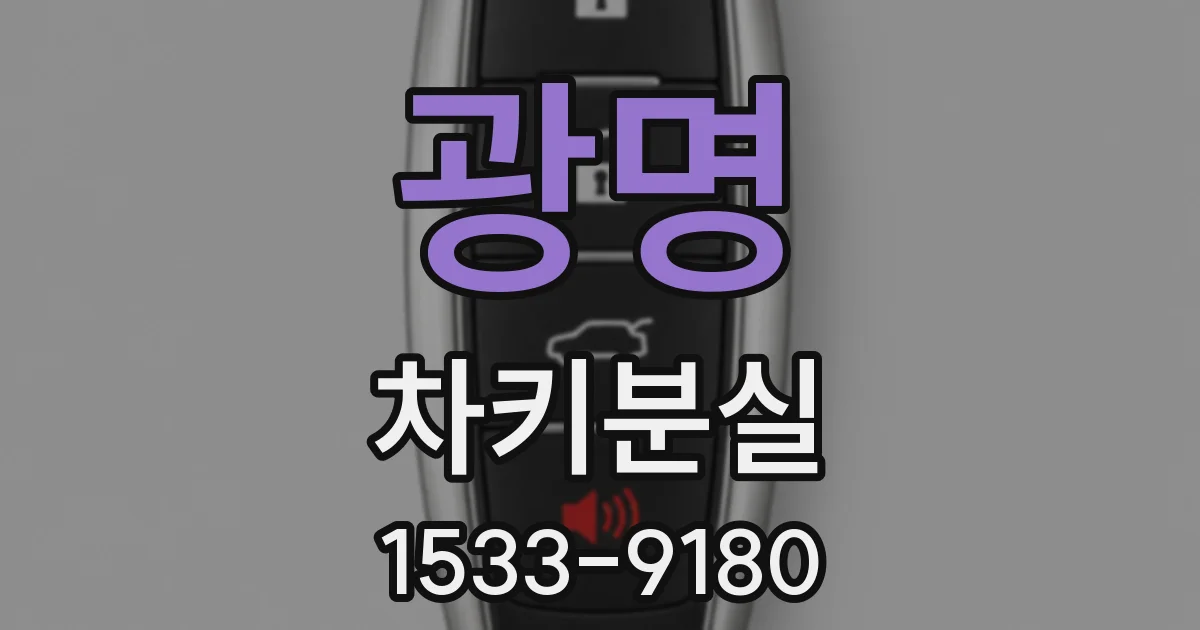 광명 차키분실