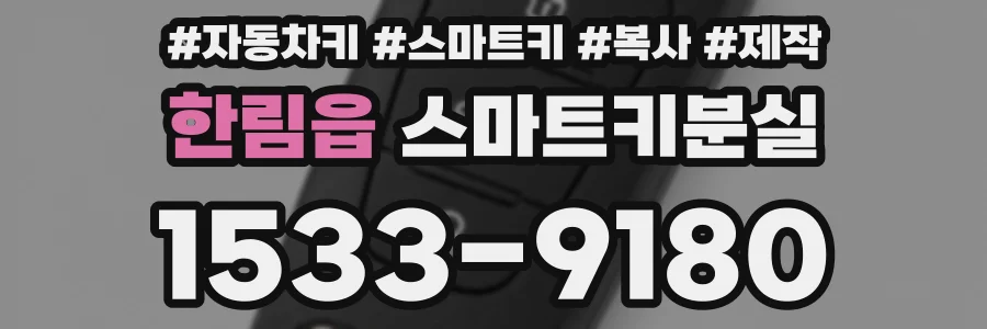 한림읍 스마트키분실