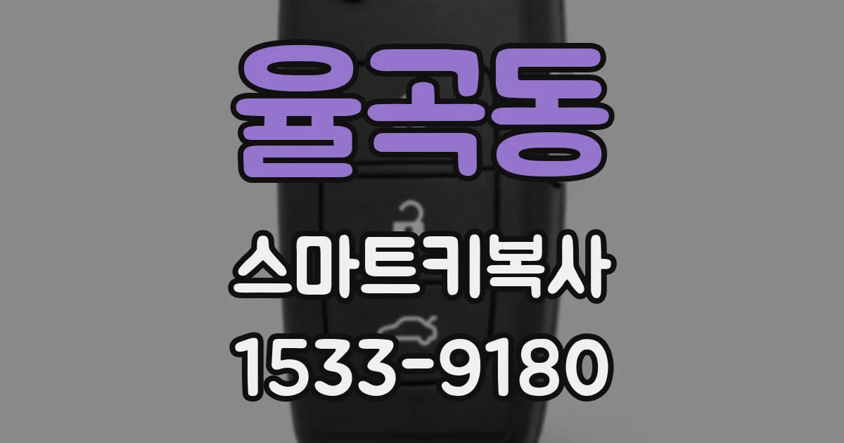 율곡동 스마트키복사