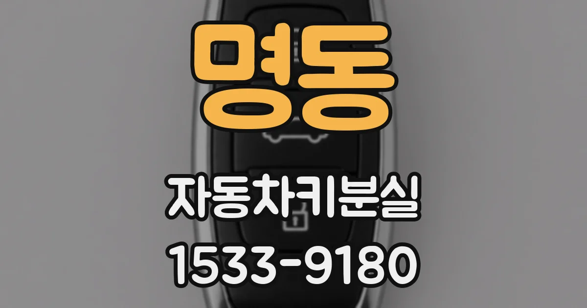 명동 자동차키분실