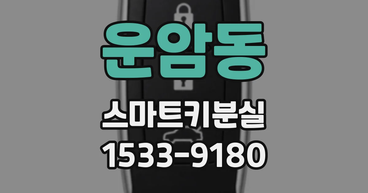 운암동 스마트키분실