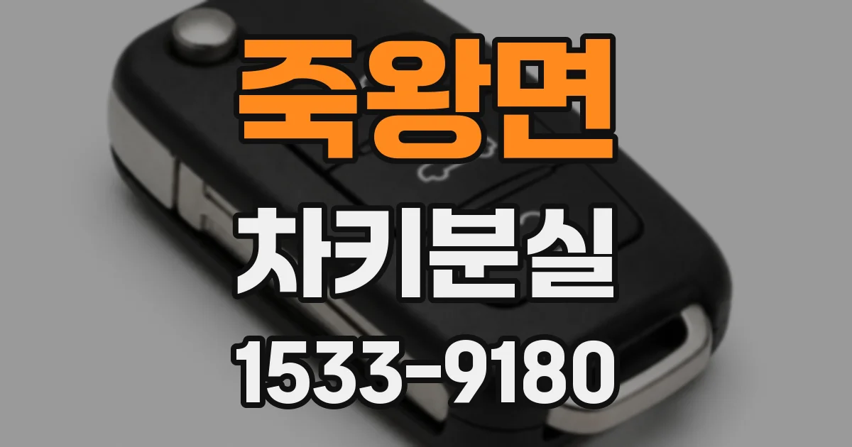 죽왕면 차키분실