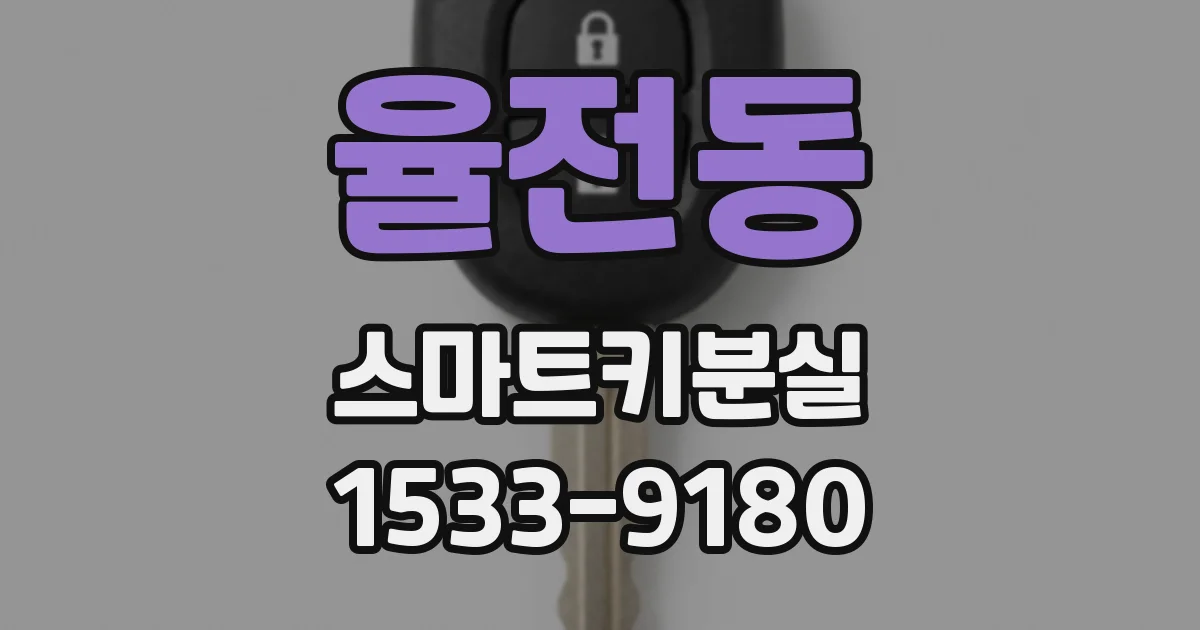 율전동 스마트키분실