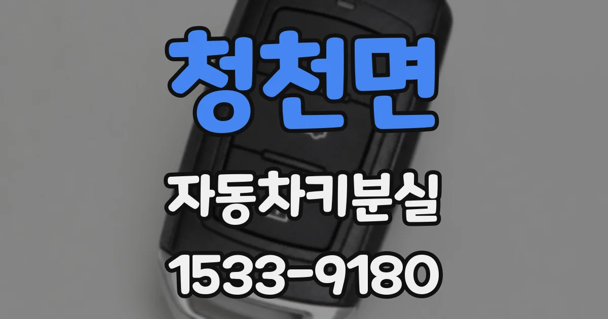 청천면 자동차키분실
