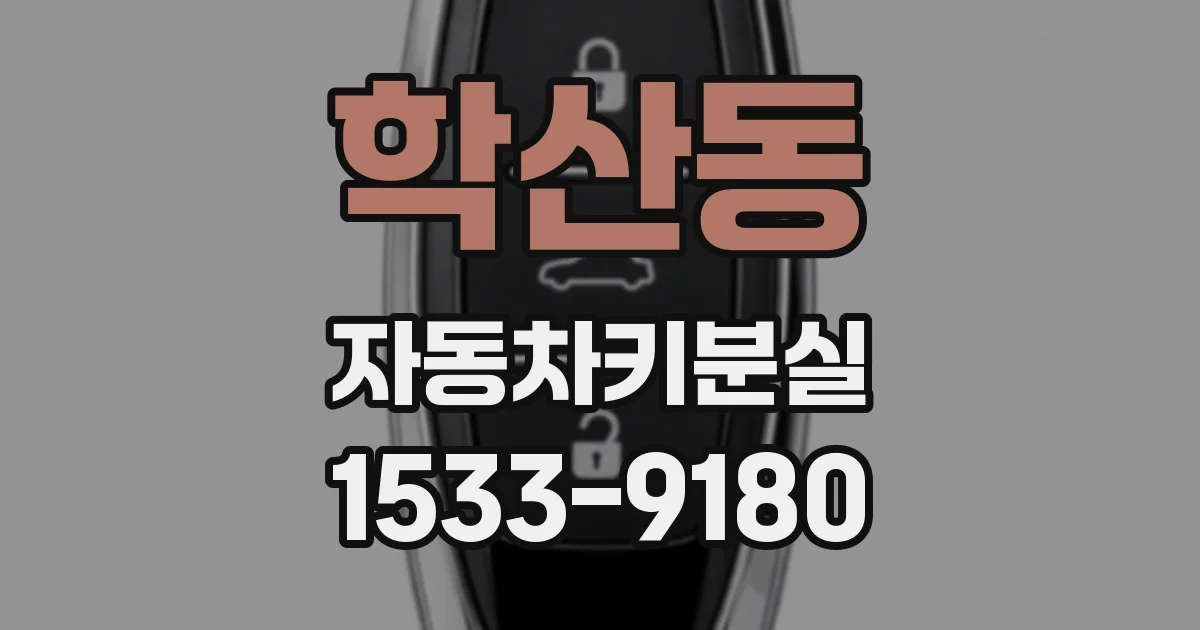 학산동 자동차키분실