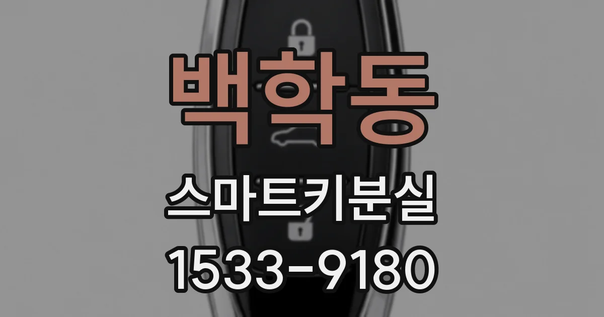 백학동 스마트키분실
