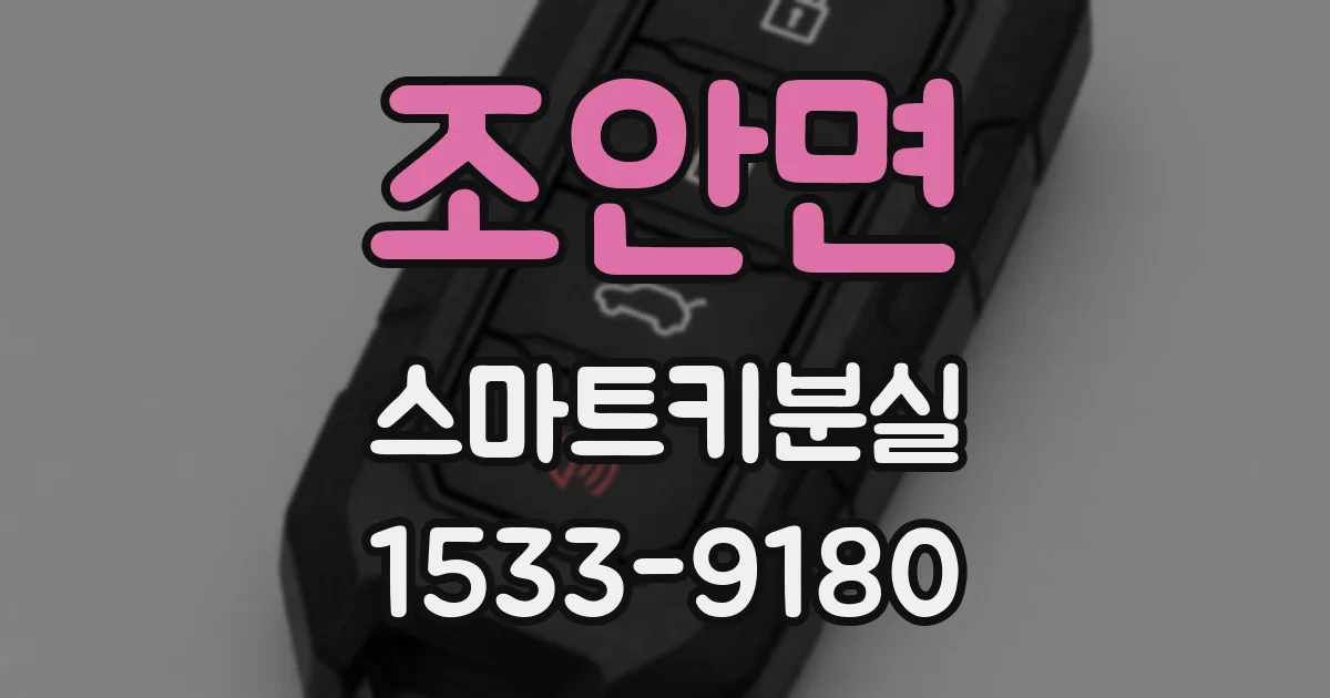 조안면 스마트키분실