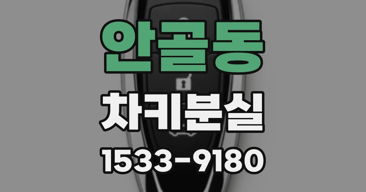 안골동 차키분실