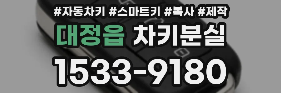 대정읍 차키분실