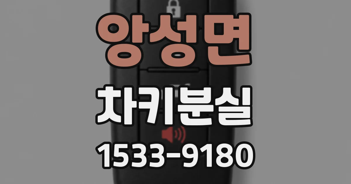 앙성면 차키분실
