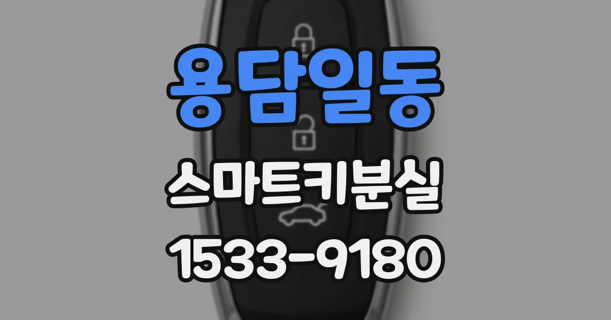 용담일동 스마트키분실