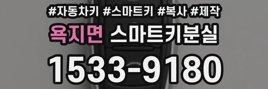 욕지면 스마트키분실