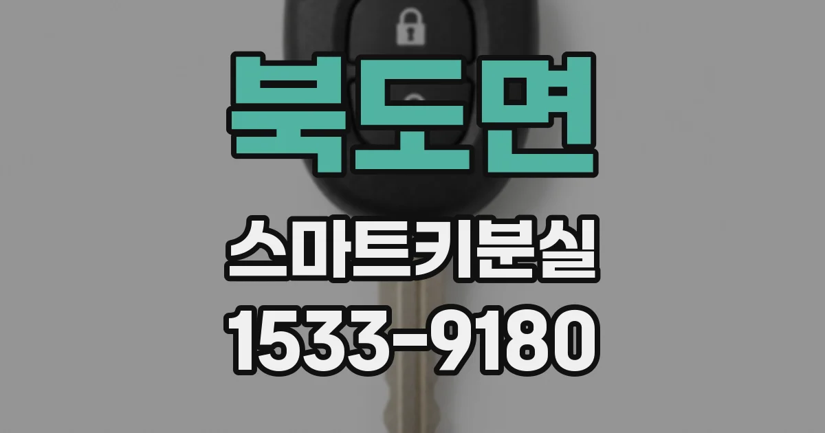북도면 스마트키분실