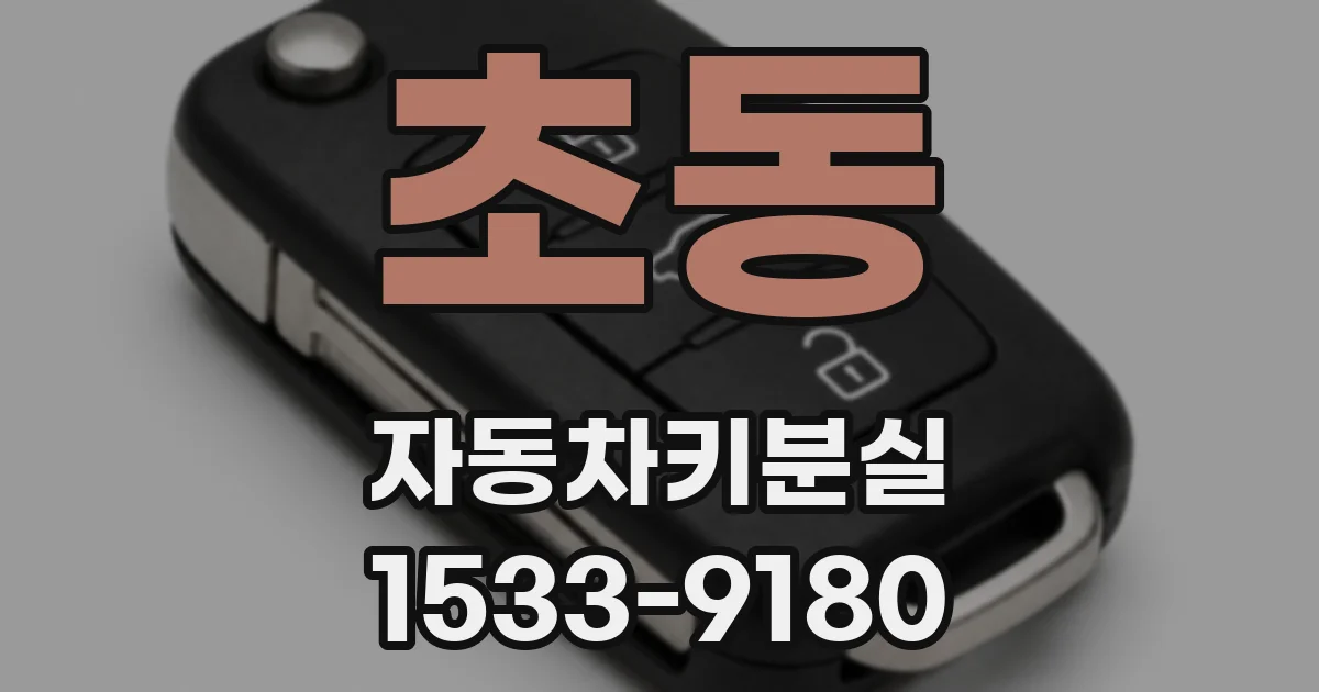 초동 자동차키분실