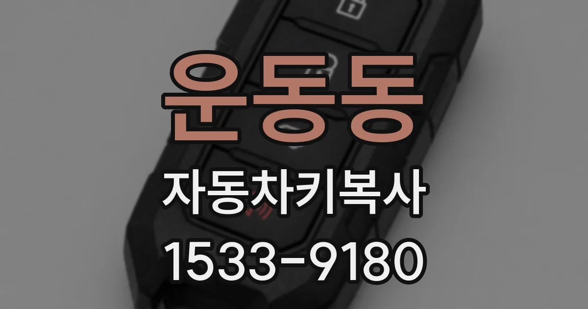 운동동 자동차키복사