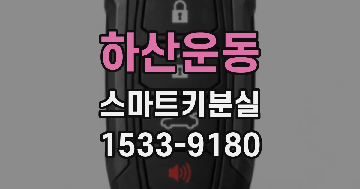 하산운동 스마트키분실