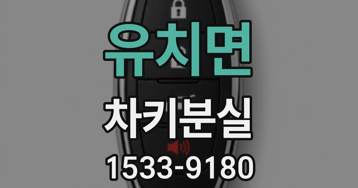 유치면 차키분실