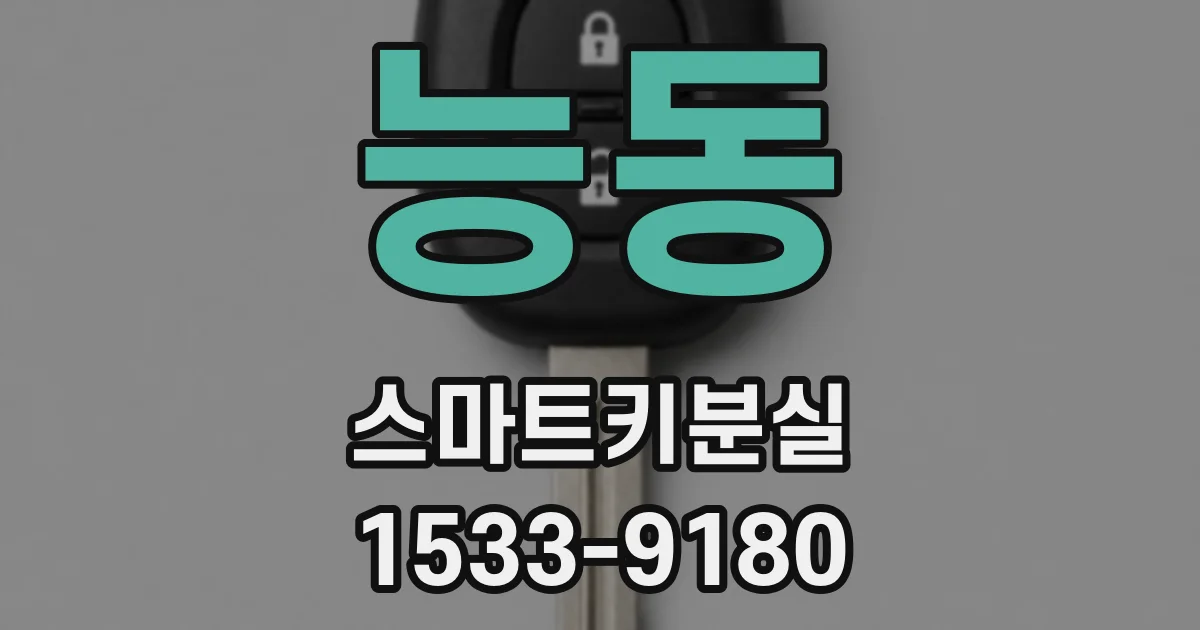 능동 스마트키분실