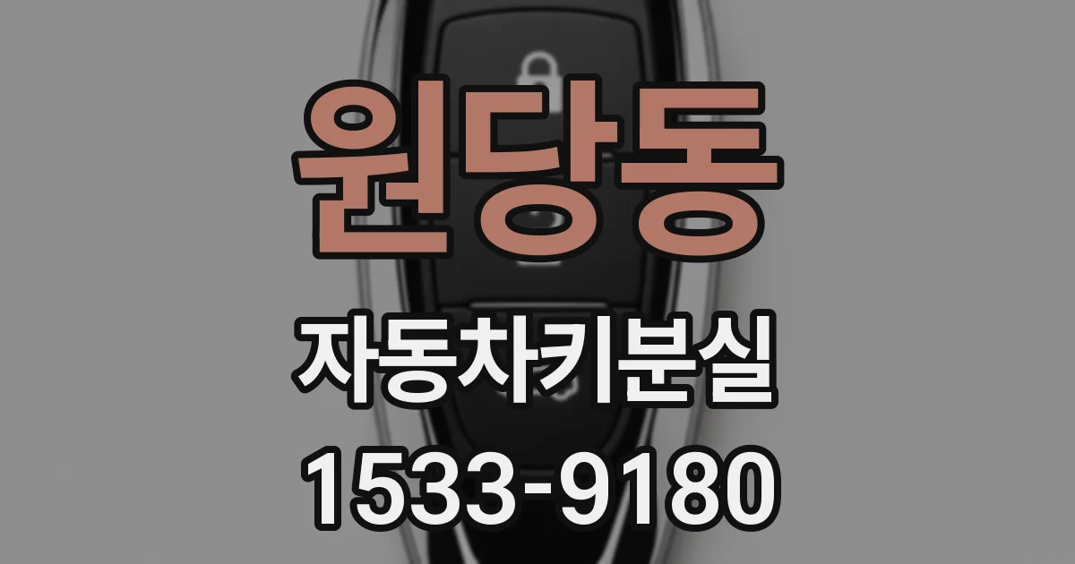 원당동 자동차키분실