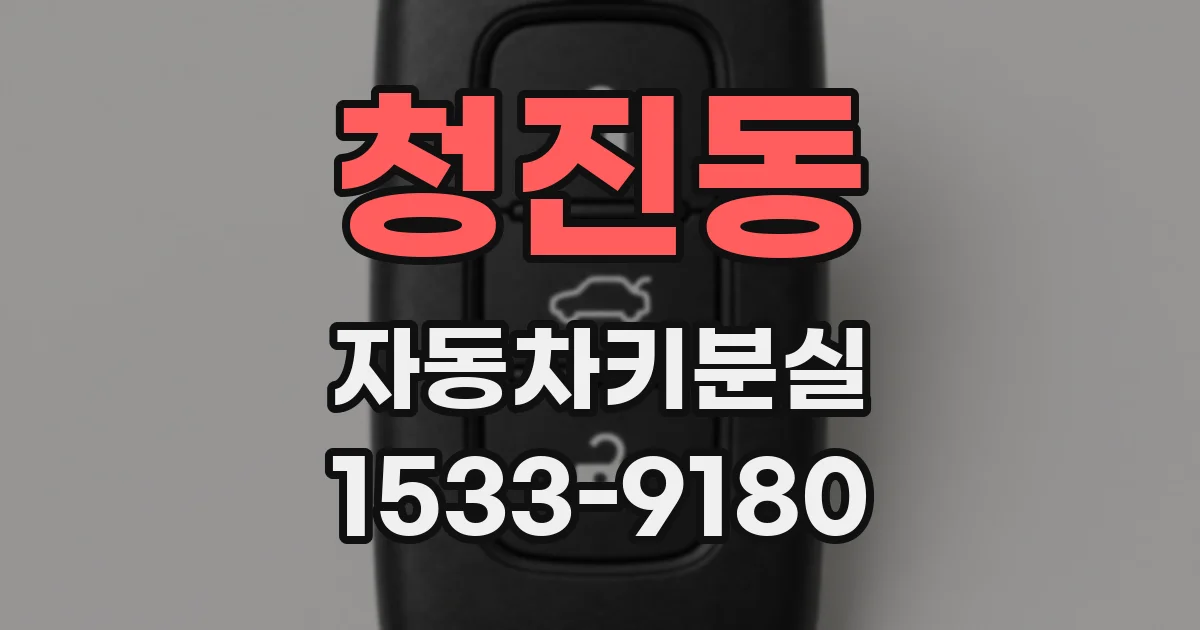 청진동 자동차키분실
