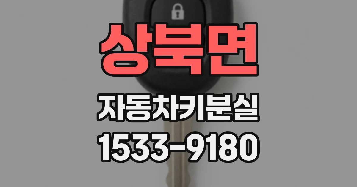 상북면 자동차키분실