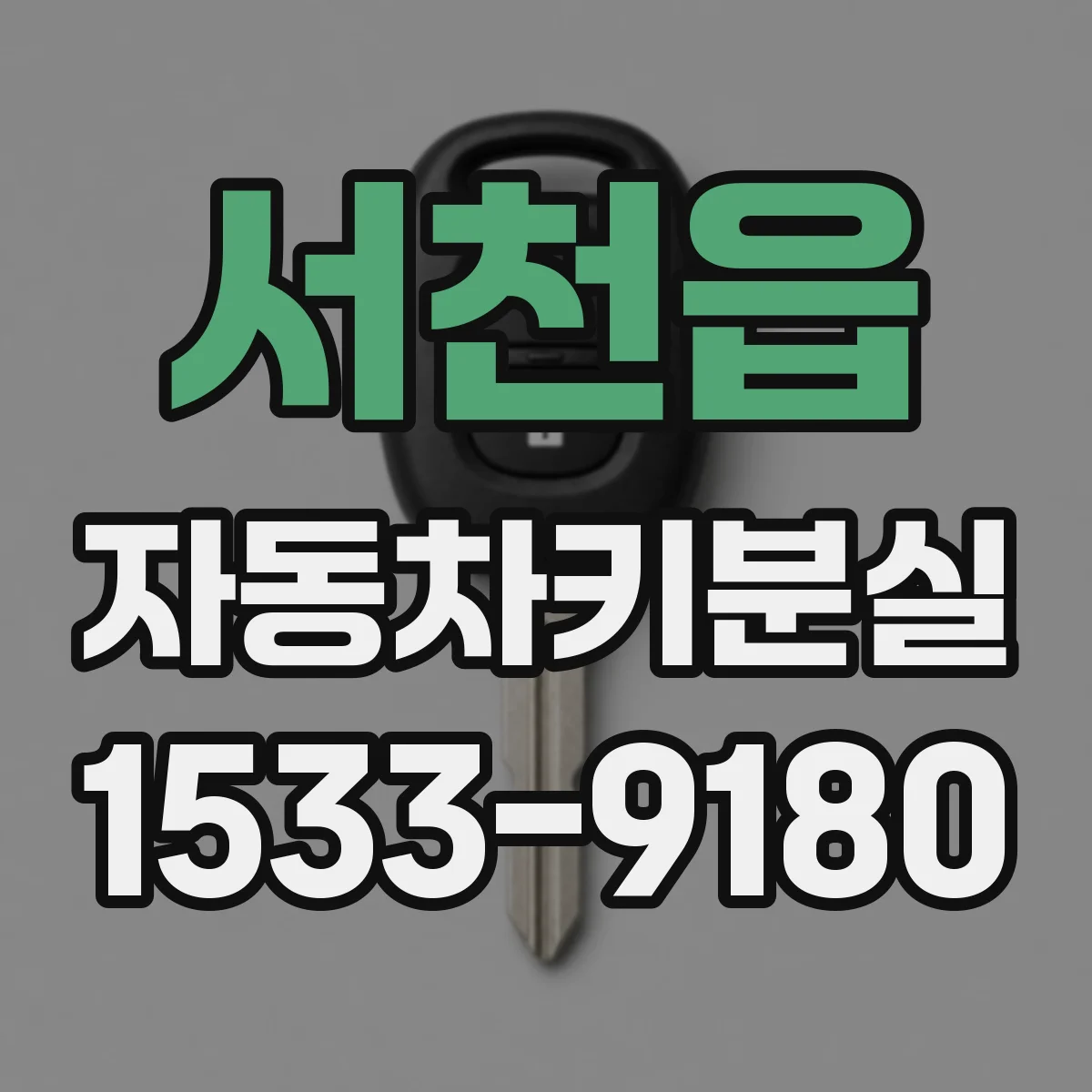 서천읍 자동차키분실