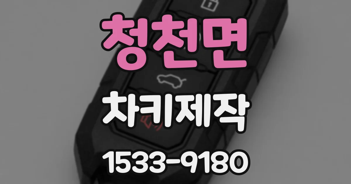 청천면 차키제작