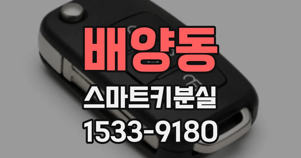 배양동 스마트키분실