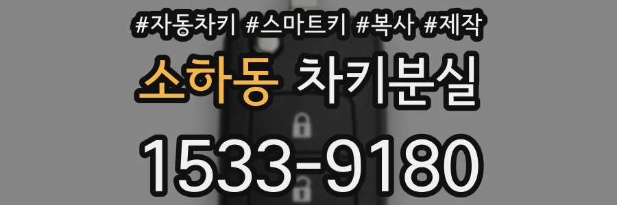 소하동 차키분실