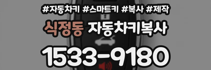 식정동 자동차키복사