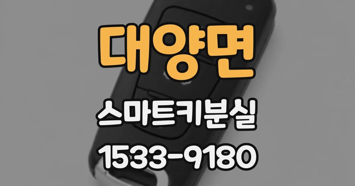 대양면 스마트키분실