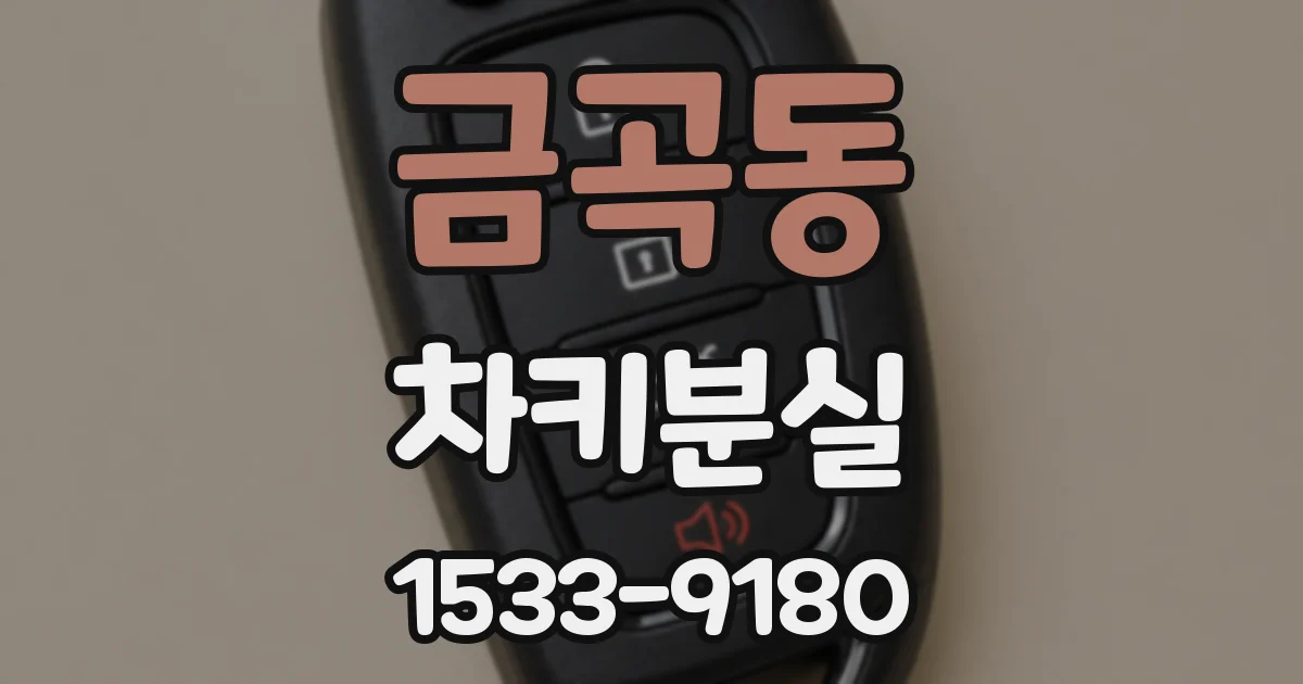 금곡동 차키분실