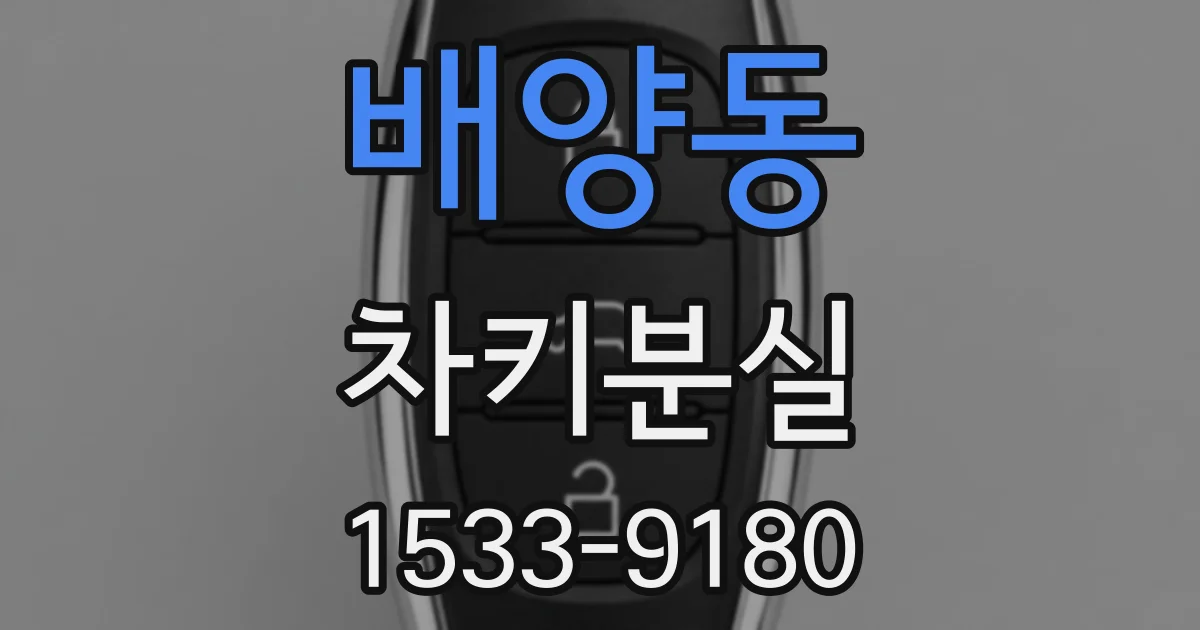 배양동 차키분실