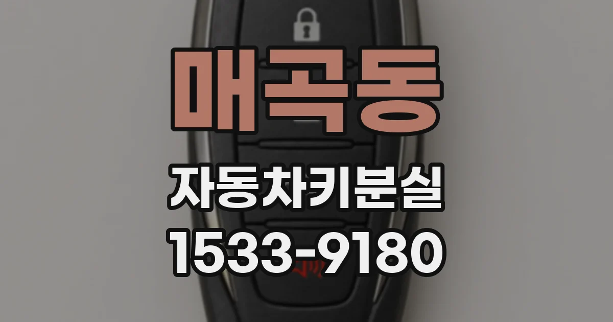 매곡동 자동차키분실