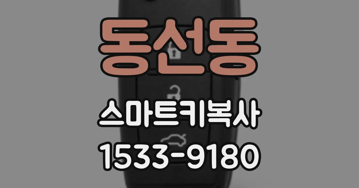 동선동 스마트키복사