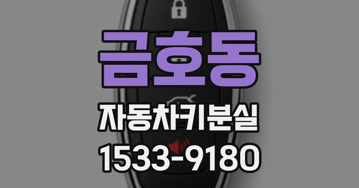 금호동 자동차키분실