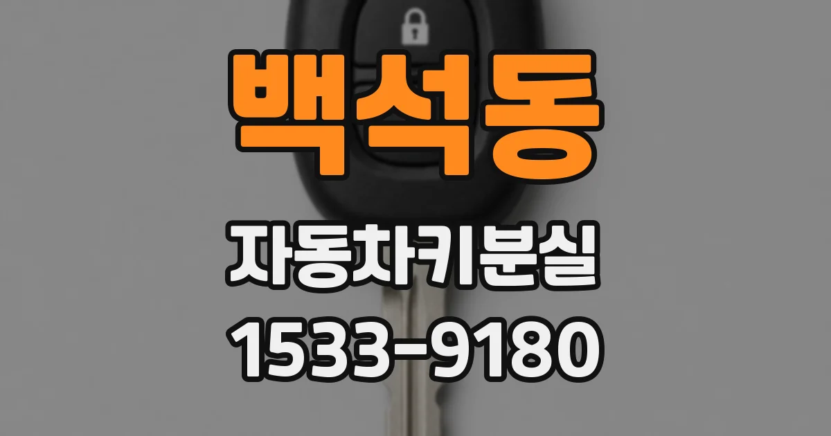 백석동 자동차키분실