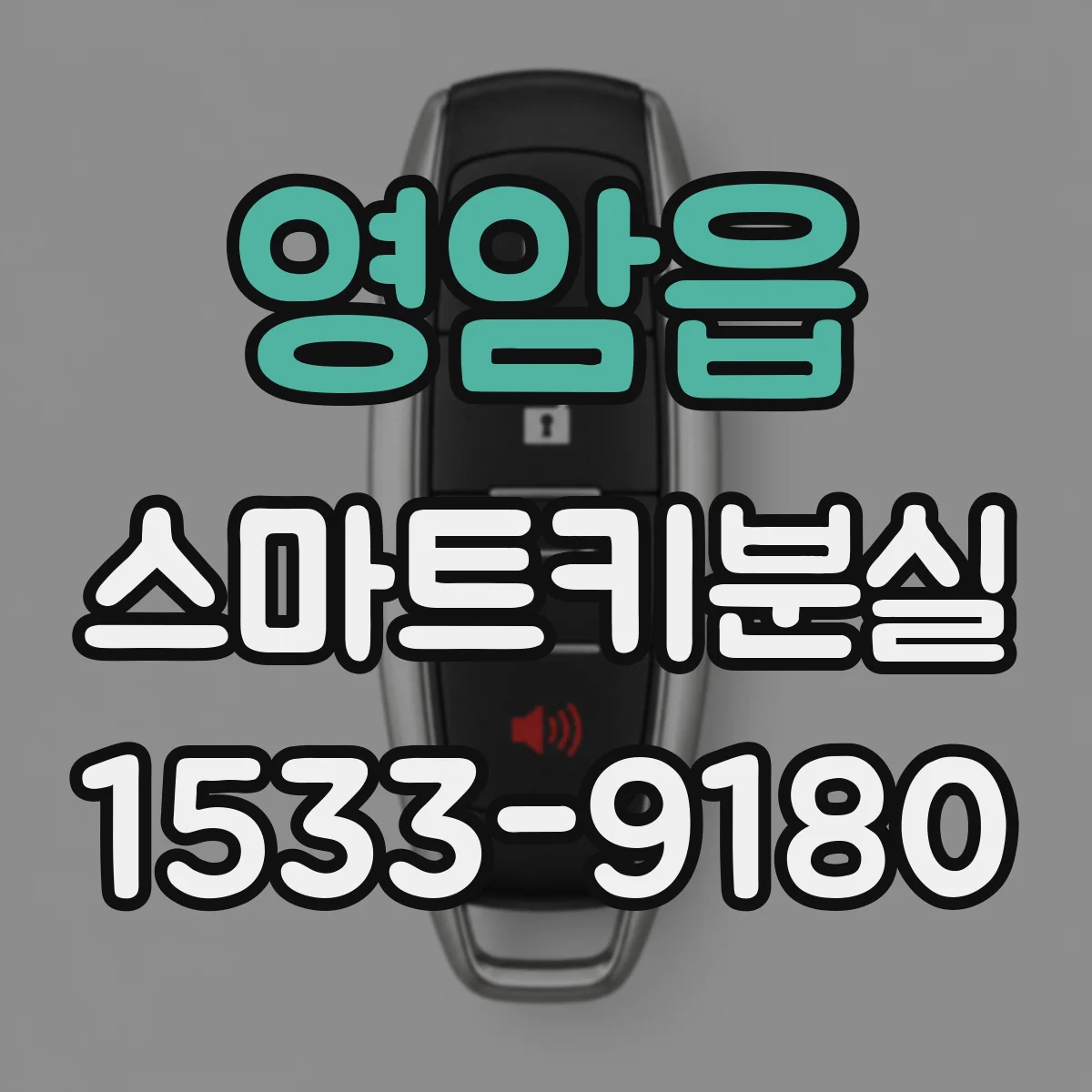 영암읍 스마트키분실