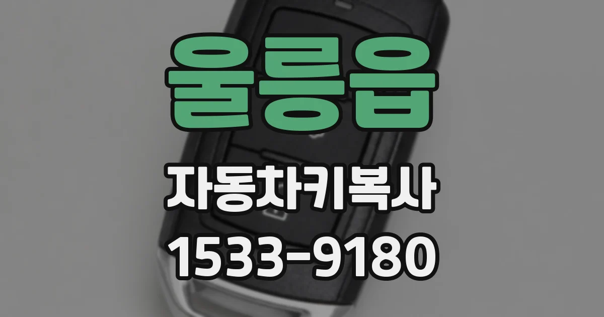 울릉읍 자동차키복사