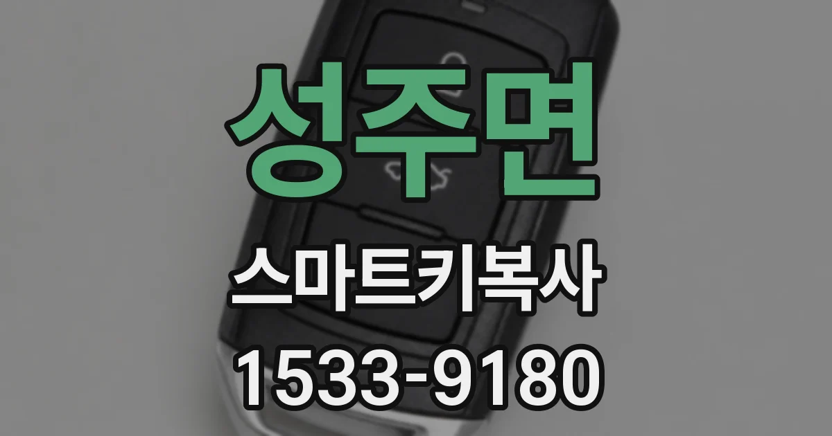 성주면 스마트키복사